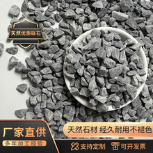 灰色砾石园林造景庭院装饰水磨石骨料水洗石透水地坪材料尖角砾石