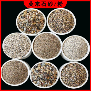 �p�|Ī��ɰ�����T���ͻ���ϸ��XĪ��ʯ��10-20Ŀ���P��T��