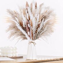 ���R�d���N�S�Ҹɻ��JȔ���m�JȔ�����Ҿ��b�����˹�����ׁ��羳