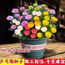 ǹջNһļ_ƹ߲ƹҾջͥԺѷNֲ