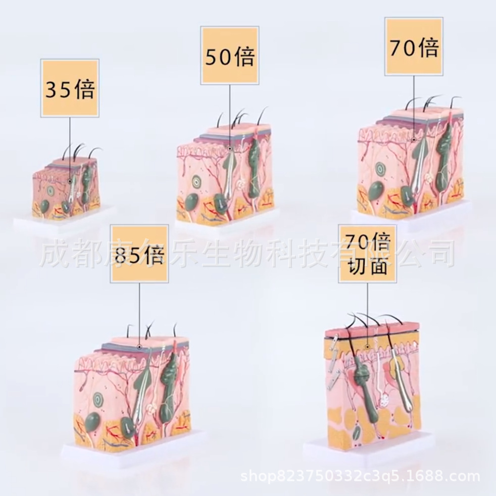 微信图片_20220804162717