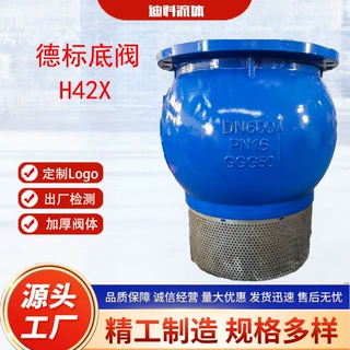 H42X德标底阀升降式法兰底阀球墨铸铁水泵底阀带滤网 Foot valve