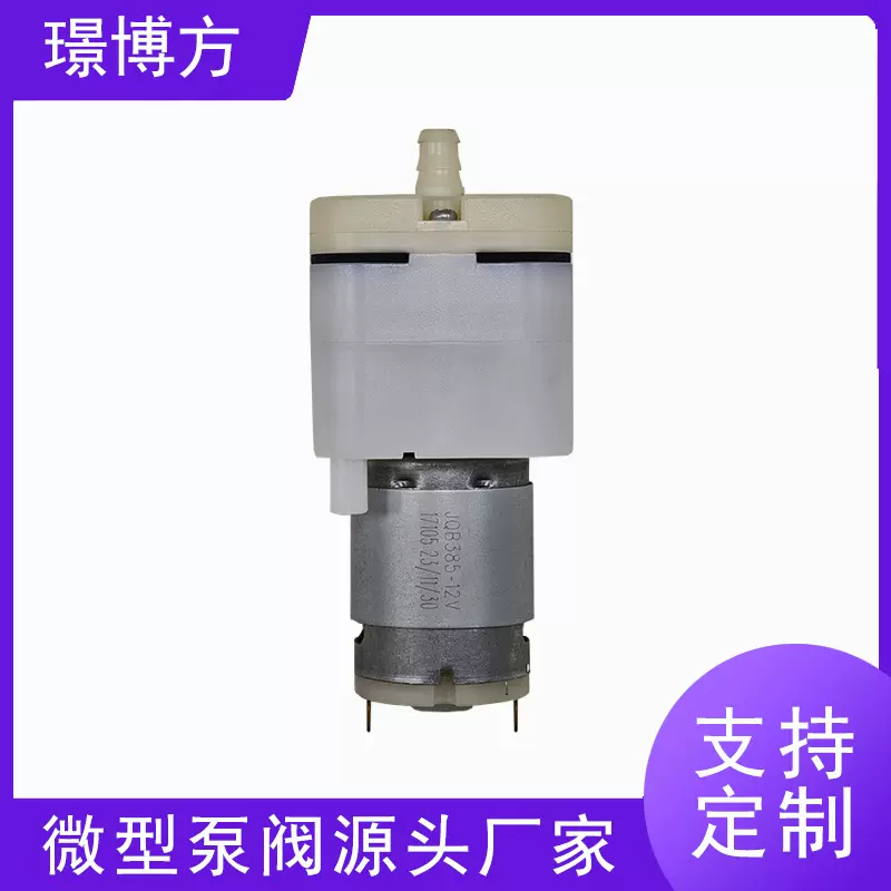 智能扫地机器人污水泵洗脱一体洗地机基站真空抽污水泵大吸力