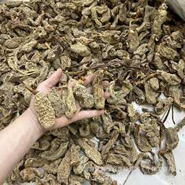 云南正宗昭通天麻批发乌天麻干货现货500克包邮代发散装粉