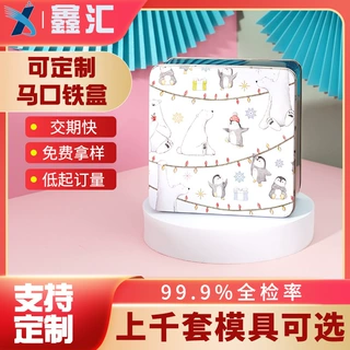 方形马口铁包装收纳盒 茶叶饼干礼品盒包装 金属铁皮翻盖马口铁盒