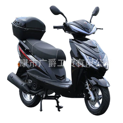 Adult Moped Mongolia, Motosikletlər