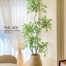 ֲ҃ȴͷGֲ[͏dpb٘