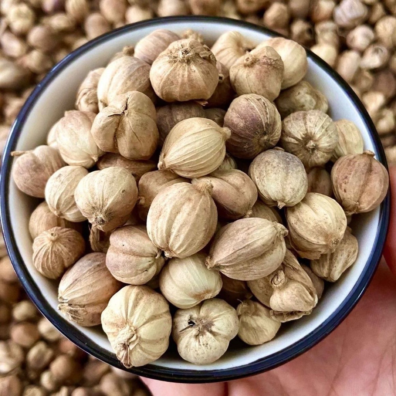 White Cardamom Powder (Amomum kravanh) — Aromatic Food-Herb Spice, Freshly Ground specifications