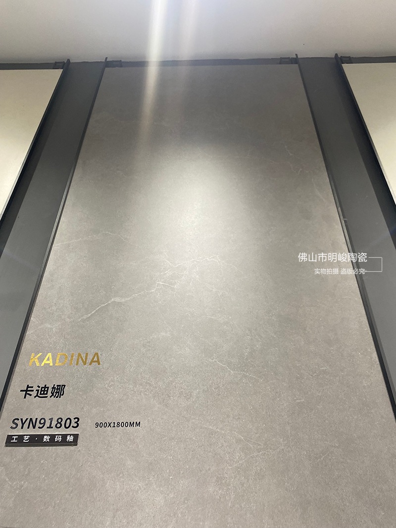 SYN91803.jpg