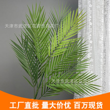 INSLGֲ~ܛzؙ~ɢβֲę쾰czӰ