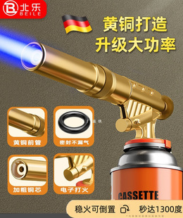 Flame Torch Gun for Burning Pig Hair, Household Handheld Flame Gun with Cassette Gas Tank, Portable Flame Welding Gun, Lighter