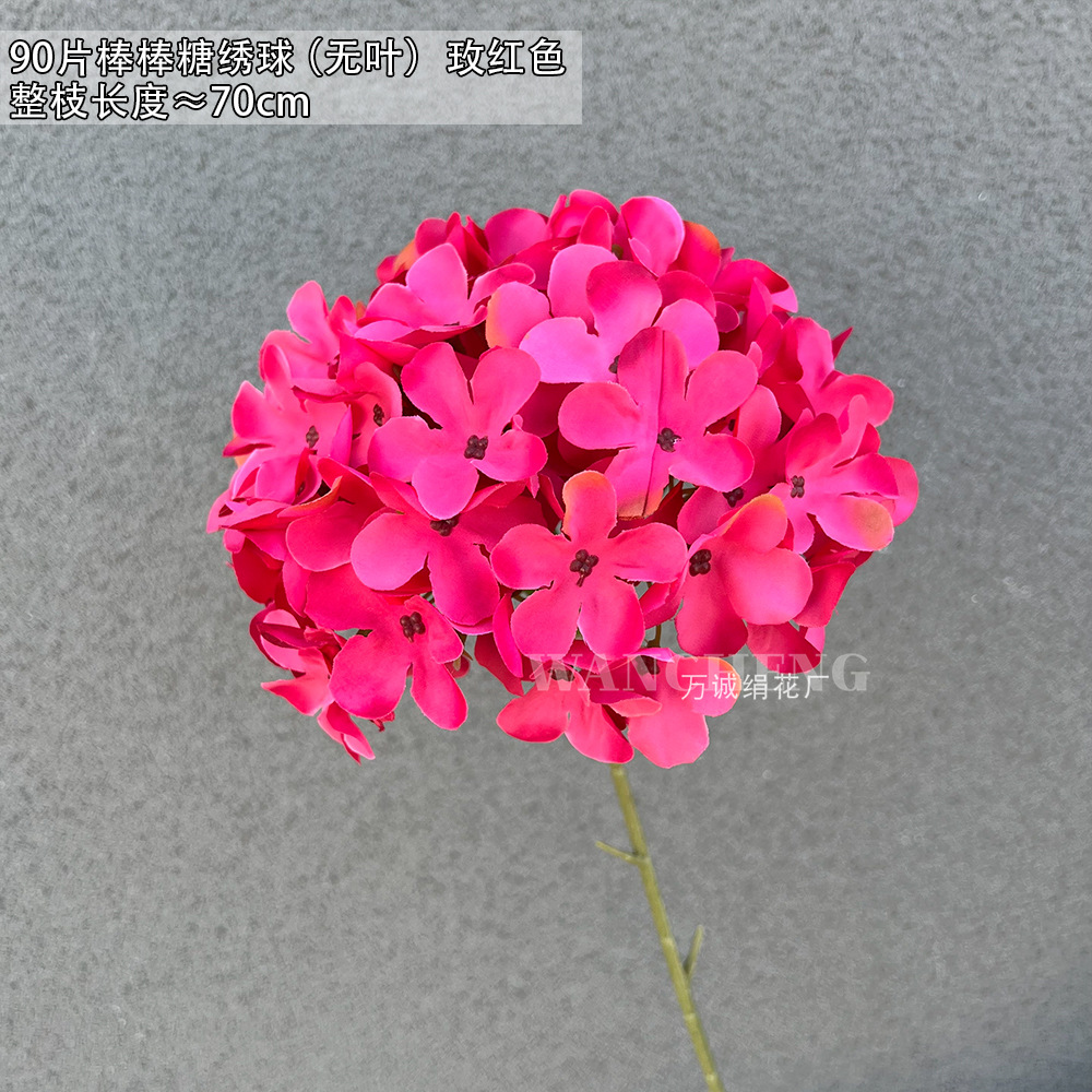 로즈 레드 90 롤리팝 수국 (잎 없음)