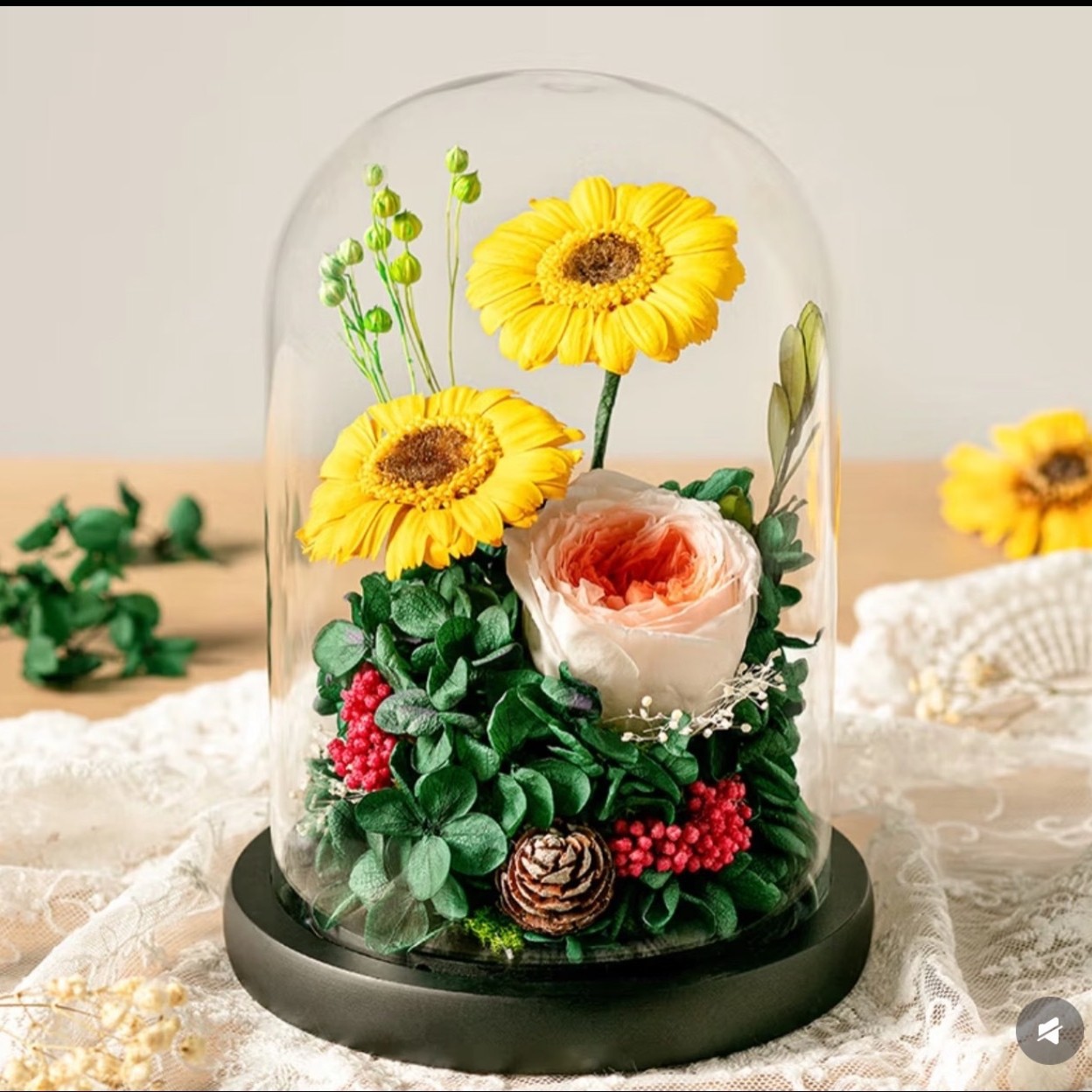 Flor eterna, rosa, cubierta de vidrio, decoración, ramo seco de rosas de girasol, regalo de cumpleaños de San Valentín para novias y novias