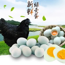 我老家新鲜30枚乌鸡蛋绿壳蛋礼盒装农村散养土鸡蛋黑乌鸡笨鸡草鸡