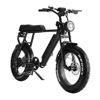 Электрические велосипеды Snow Beach 48V Fat Tire 7-скоростная Регулируемая скорость Взрослый внедорожный трансграничный горный велосипед