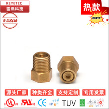 REYETEC �����ݼyNPT1/8�S�~й���y ��܇늳ط����y ��ˮ͸���y