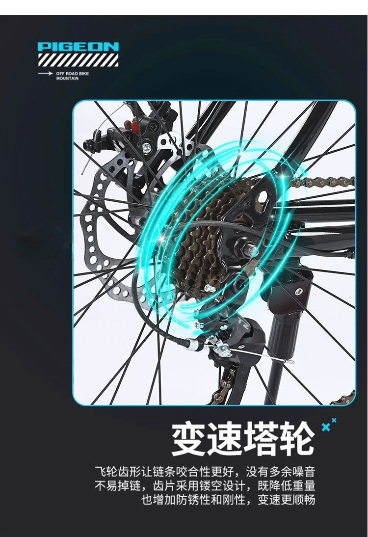 9ef5e8ed-9d86-4dc8-9300-45ebf29a0a92.jpe