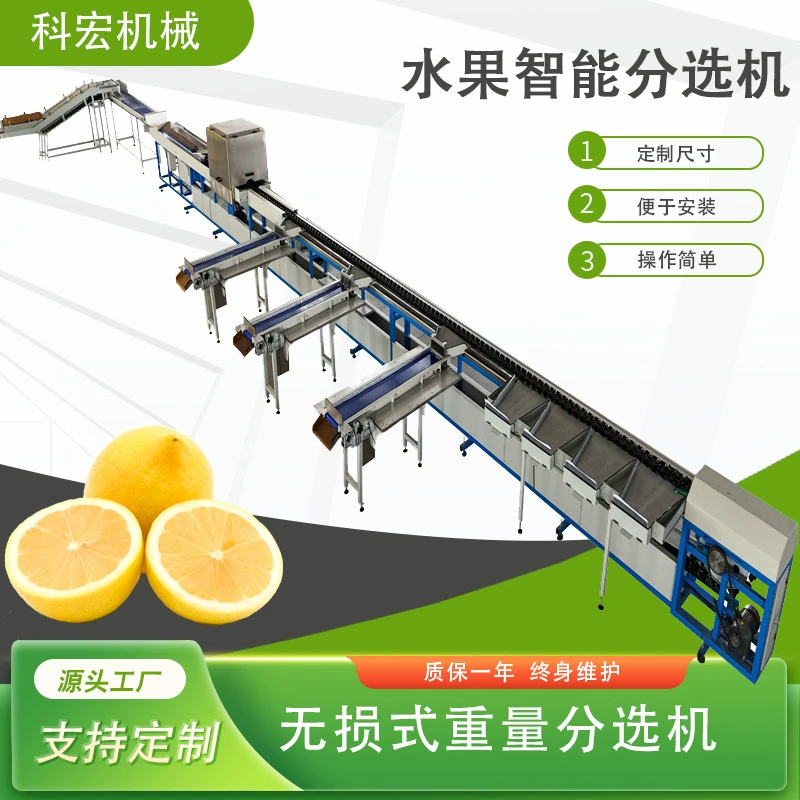 Линейный интеллектуальный сортировщик фруктов KEHONG Machinery, сортировка лимонов по весу