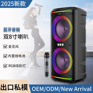 Wireless speakers, travel microphone, new collection, 8 inch, bluetooth, high power