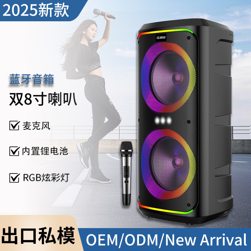 New Dual 8inch Wireless Bluetooth Speaker with Microphone Outdoor High Power Subwoofer Bluetooth Speaker Manufacturer