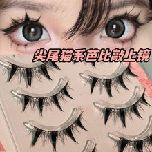 ؈ϵ�����ٽ�ë�����Ը�؈�����ë�ֶ�ʽ�ճ����֑���������