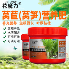 �n���n�S���àI�B����S�辰����ͥ�̨�ļ��B�o���L�ˈ@���B�o��