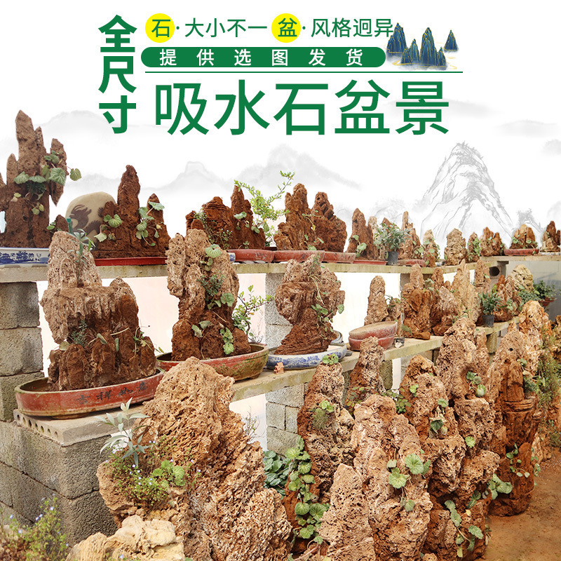 吸水石、盆栽、水石、岩盤、魚鉢、造園、室内装飾、水ショー、石、小物|undefined