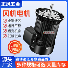 工业交流电机应用工业机械挤出机风机电动马达高速变频电动机