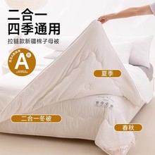 �½��޻�����ĸ������һ�ě�����朿�ﱻо���{�����ļ�ͨ��