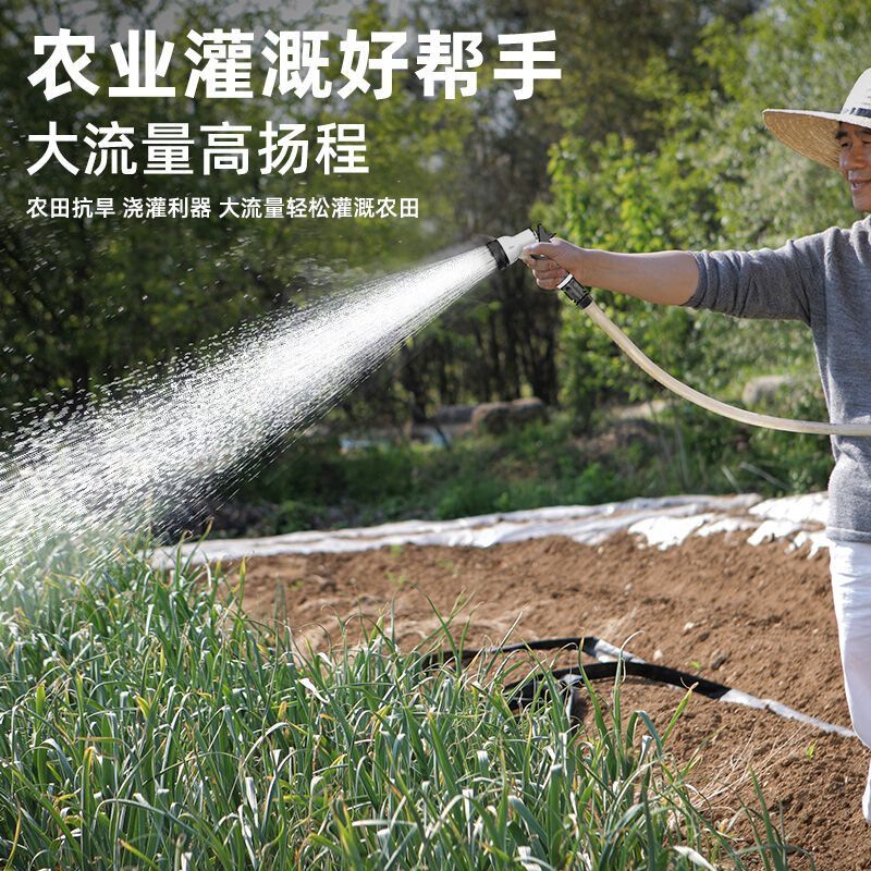 ドイツ芝浦野菜水やり機、充電式ウォーターポンプ、田舎の野菜畑の灌漑、家庭用屋外水やり機|undefined