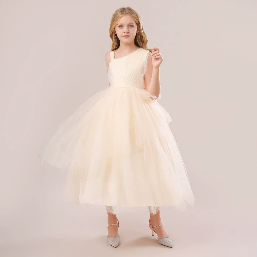 Европейские и американские трансграничные платья среднего и старшего возраста