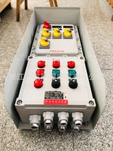 防爆照明(动力)配电箱，防爆防腐配电箱