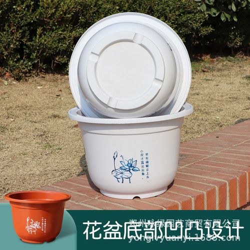 Non-porous plastic flower pot lotus pot bowl lotus water lily money grass aquatic plant thickened round gardening flower pot plastic