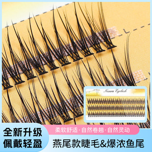 Cross-Border Scarecrow Swallowtail V-Shaped Fishtail Segmented Natural Single Cluster Fairy Hair Pure Desire Grafted False Eyelashes Soft Curled