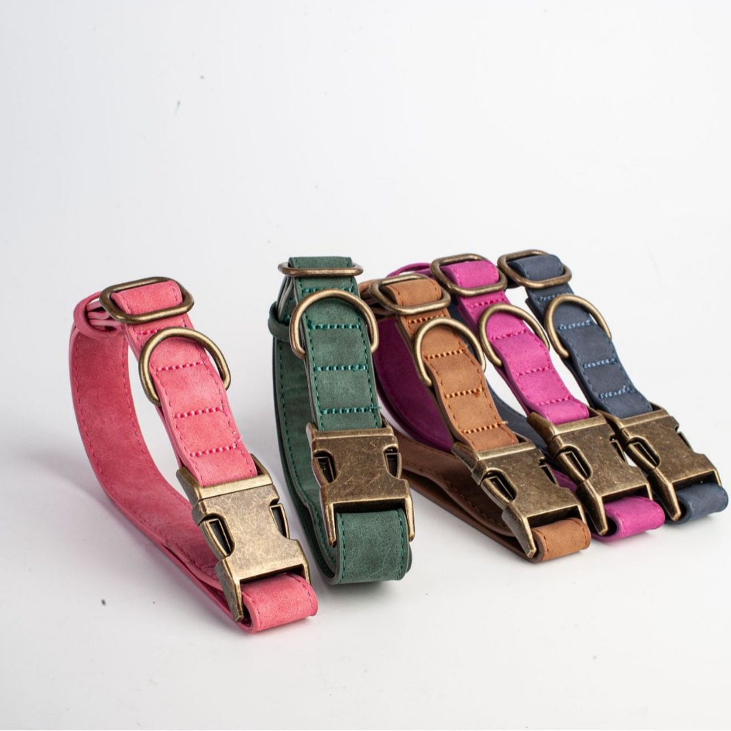 Engraved Pet Collar 2