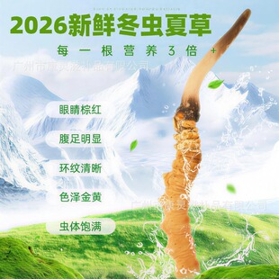 2026�^�����r���x�Ĳݸߺ������������r�x�ݮa��ֱ�l���r�x�����l