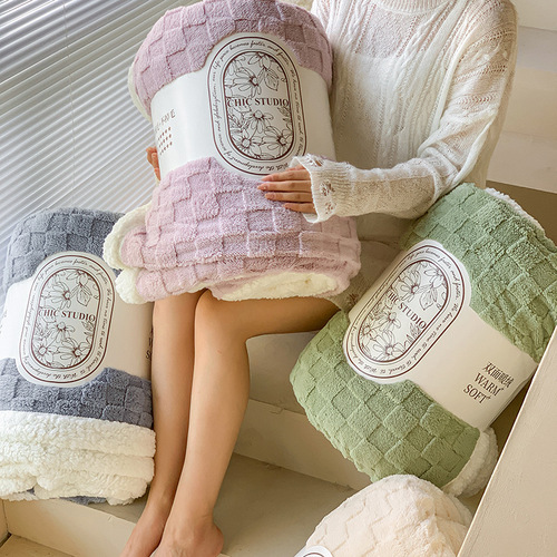 Factory Direct Sales Thick Tafetta Fleece Blanket Lamb Wool Blanket Fleece Student Nap Air Conditioning Blanket Bed Sheet Cover Blanket