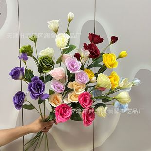 �羳���滨4�^��۹���c�Ƶ�F�����üҾ��b廨Ӱ�ǔzӰ�ٻ�