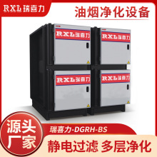 SҹDGRH-BS͵Ϳ^V͟NƵIO