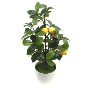 ����ˮ���O�� �� �Gֲ����С�������Ә���Ҙ���Ә�â����S��