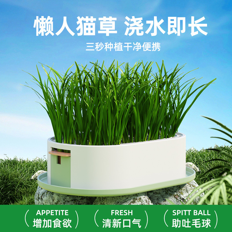 Cat Grass Potted Wheat Seed Seedling Tray Soilless Hydroponic Catnip Catnip Self-Planted Snacks for Cats
