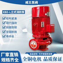 �����ÏS�Ҏ���������XBD4.0/30 -L 30KW-2��Ʒ���C