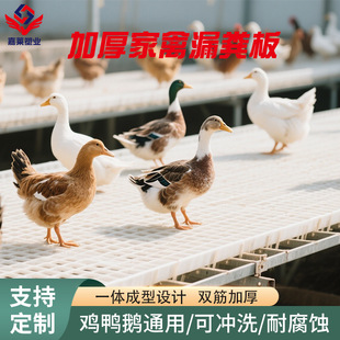 �Bֳ©�S�� �����u���Z��©�S�� ���r���ʳ��u�N����©�S�ذ�