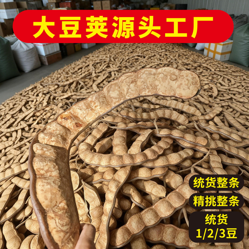 Yunnan Soybean Pods Whole Bean Pods Raw Materials Handmade DIY Fruit Shell Doll Materials Wholesale Plant Fruits