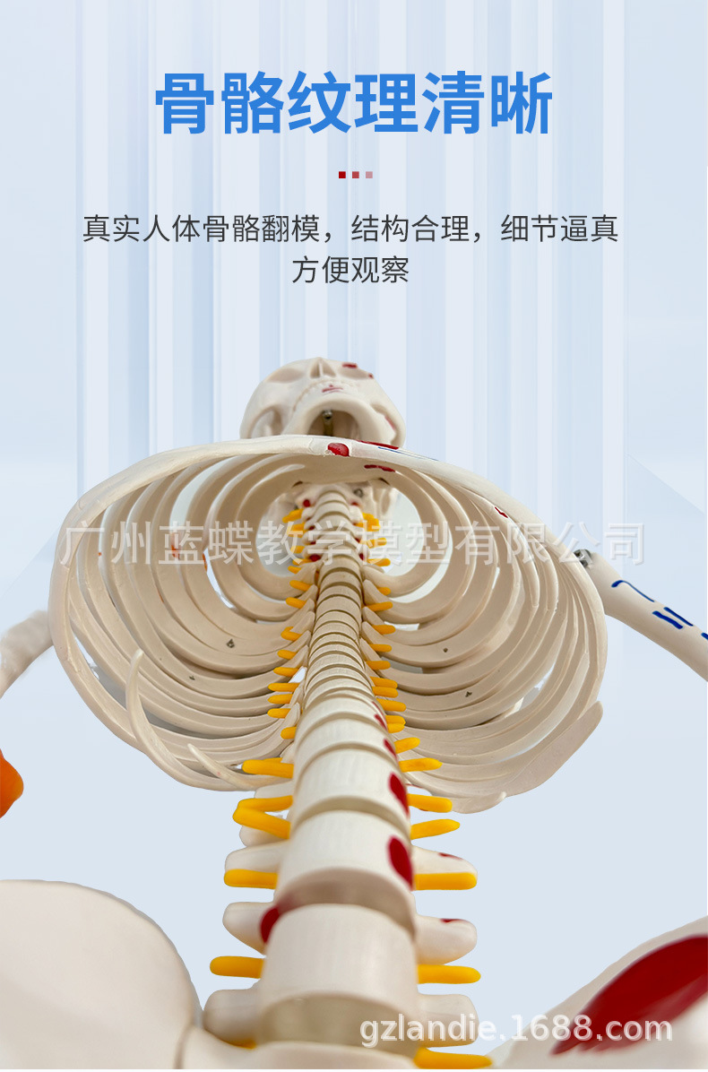 详情_04