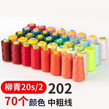 3000���I�C���p���ִa��]�����ٿp�x������202������p�·�