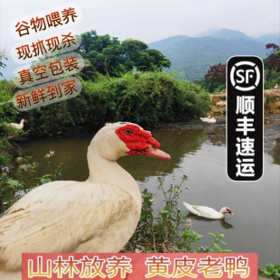 �������Ϸ�����ɽ�ַ��B���������tĘ����������ֻ���������r�F��