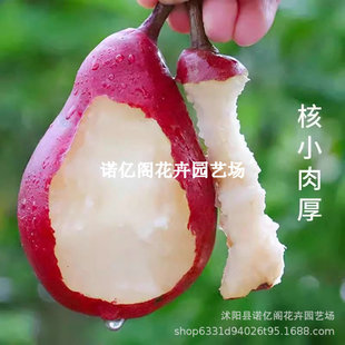 �޽�����������t�F����������tơ�����Ϸ�����ͥԺ���Ե���