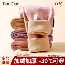 天蚕保暖裤女士加厚加绒秋裤冬季内穿东北防寒棉裤护膝男士打底裤