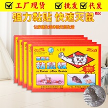 �����N����ճ��峬����ճ�������zճ���N�����zճ������ճ�N����